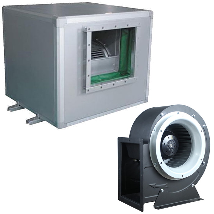 ���� ����������