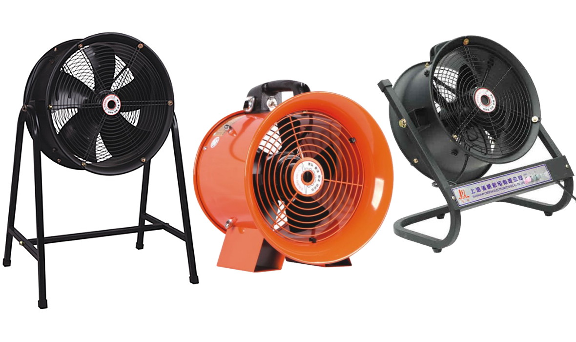 ����� ���� ������� �����