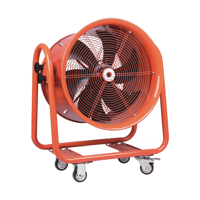 ����� ���� ������� ���� �� ������