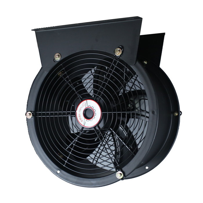 ����� ���� TUBE ������ �����