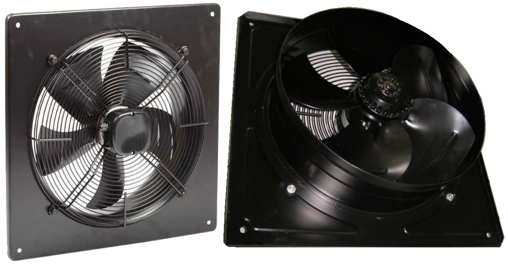 ���� ������� ����� ������