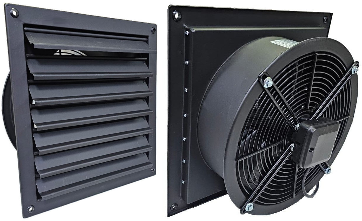 ���� ������� ����� ������