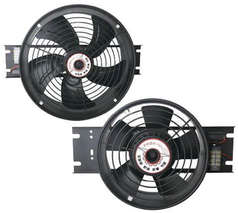 ����� ����� �����/ �������