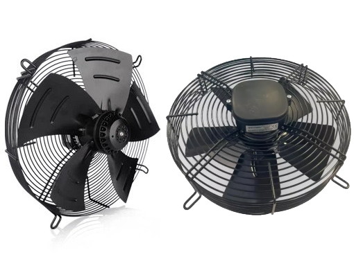 ���� ������� ��� �����