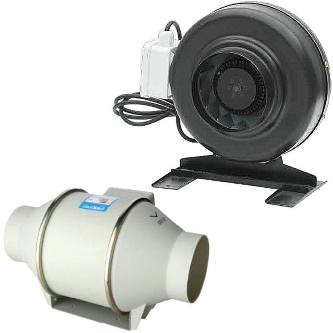 ���� �� ������� �������